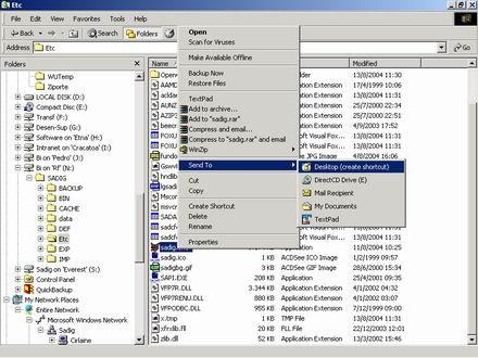 Página 7 6. Configurar o acesso ao Sadig Servidor nas estações ambiente Windows 2000 O roteiro pressupõe que o Sadig Servidor esteja instalado em um diretório denominado C:\<BI>\<SADIG>.
