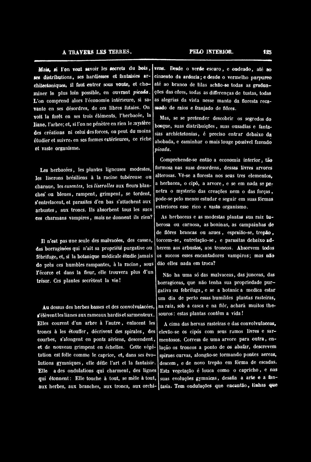 L'on comprend alors l'économie intérieure, si savante en ses désordres, de ces libres futaies.