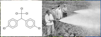 EXEMPLO: BHC, DDT (inseticidas) Benzeno-hexa-clorado DDT -