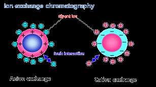 Cromatografia de troca iônica Baseado nas diferenças de sinal e magnitude da carga elétrica líquida de