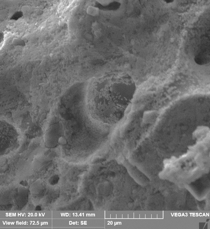 Figura 12 Micrografia da formulação cerâmica A2 sinterizada a 1100 C.