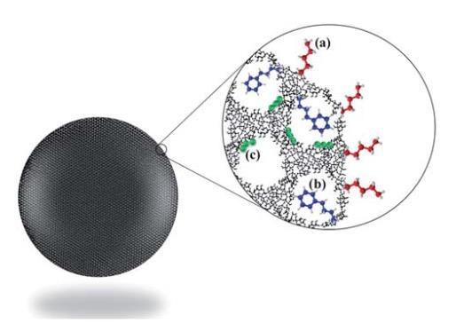 A funcionalização das nanopartículas pode ocorrer em diferentes regiões da partícula consoante o propósito.