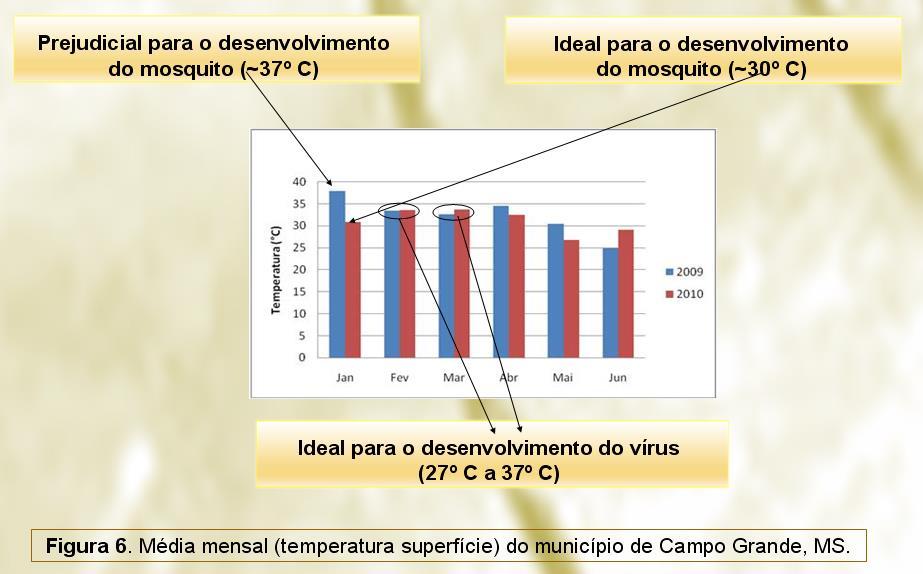 RESULTADOS E DISCUSSÃO Nos valores médios mensais das temperaturas de superfície podem ter contribuído para o aumento da taxa de incidência de casos de dengue em 2010.