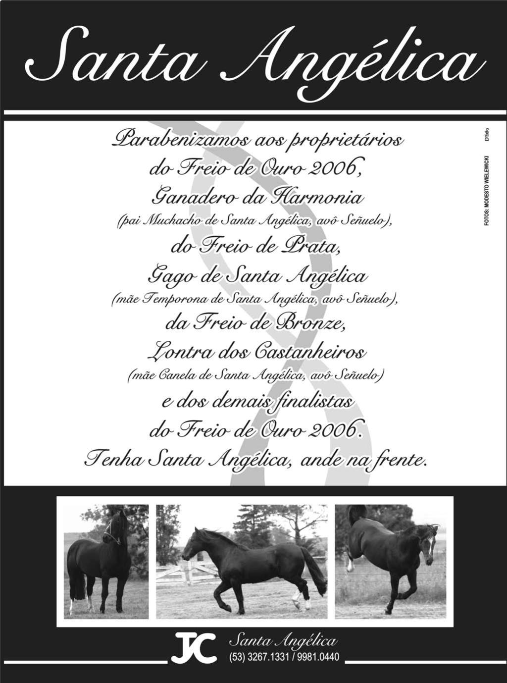 ABCCC - Cavalo Crioulo - A raça perde mais um representante. Morreu hoje  (24/2) o garanhão Macanudo do Itapororó. Em sua trajetória, o cavalo -  nascido em 2001 - se destacou pela