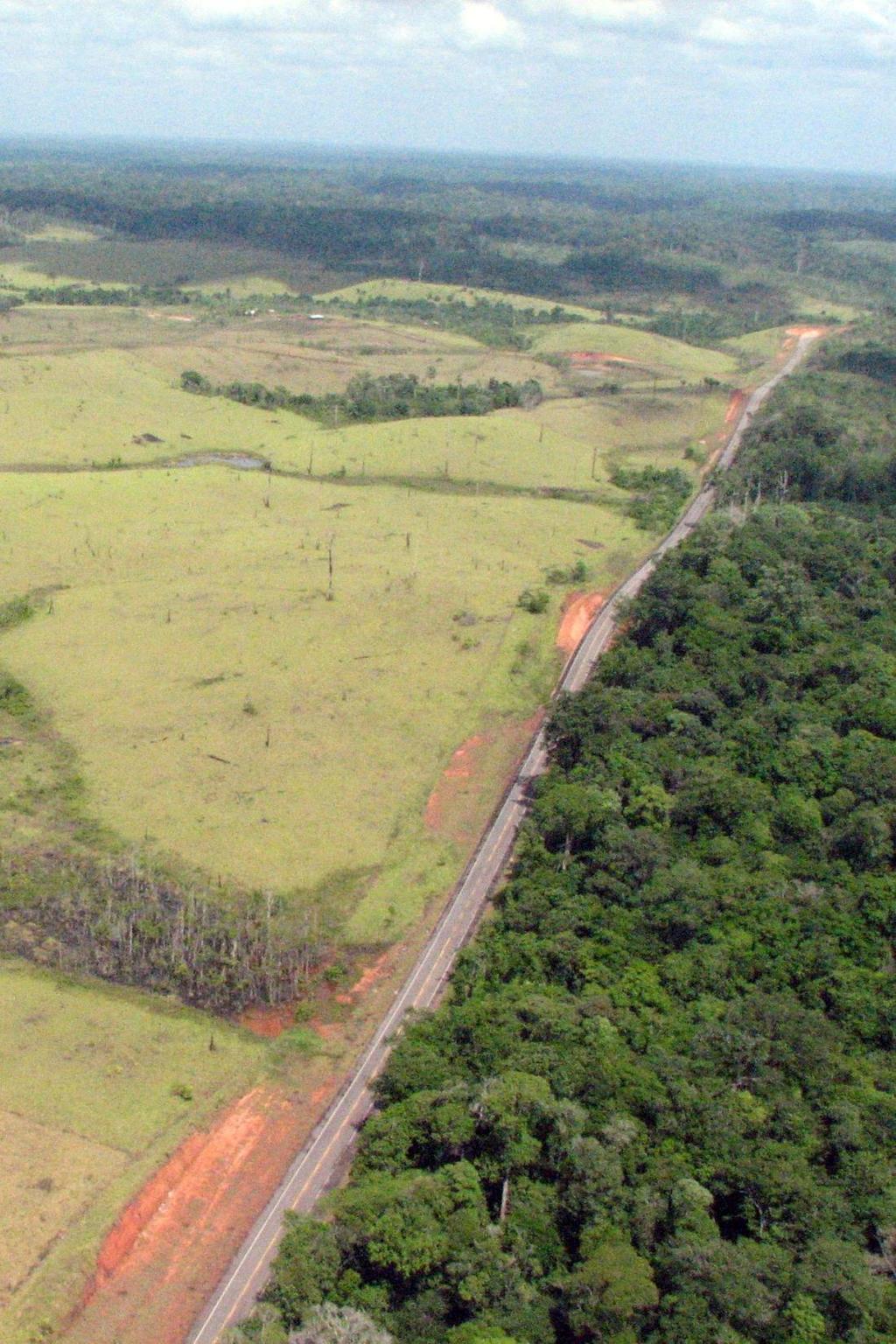 Parque Estadual Serra da Cantateira