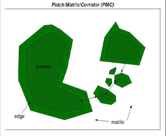 Métricas Heterogeneidade número, densidade Área Área núcleo Bordas Isolamento Forma classes de tamanho, tamanho médio