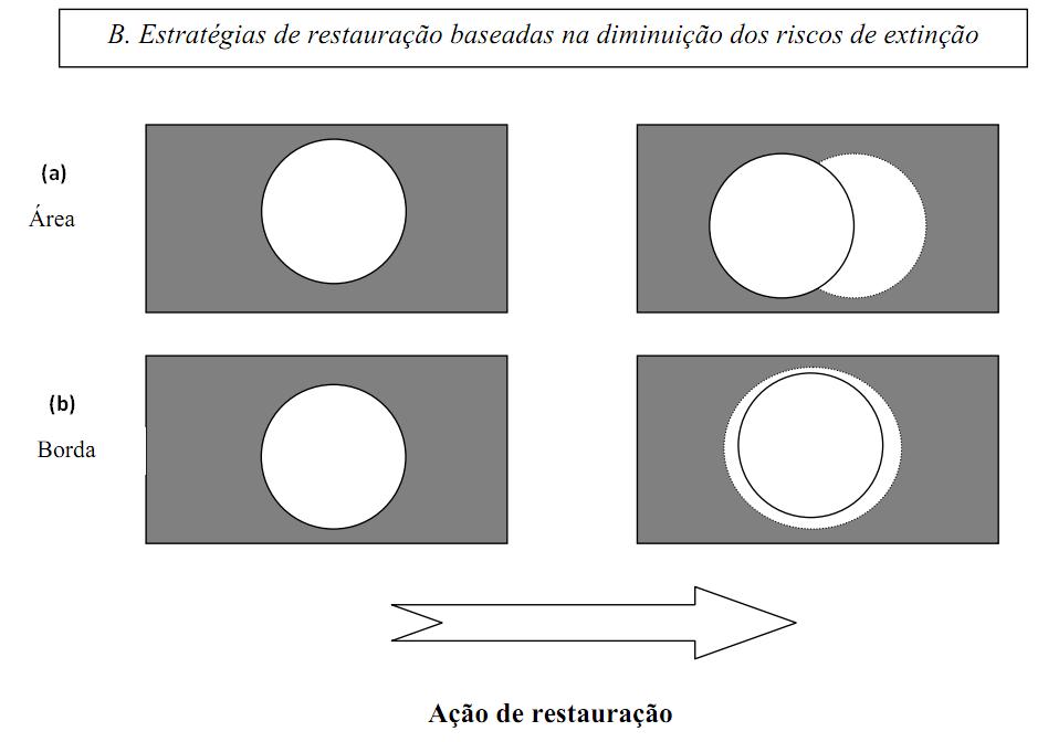 RECUPERAÇÃO (3)