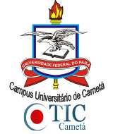 CTIC/CAMETÁ Missão: Prover Soluções de Tecnologia da Informação para o Campus Universitário de Cametá.