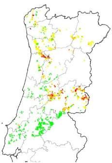 Monitorizar/ detetarprecocemente Distribuição e Incidência Estragos e Impacte económico Nº de hectares afetados (G. platensis) Desfolha (C.