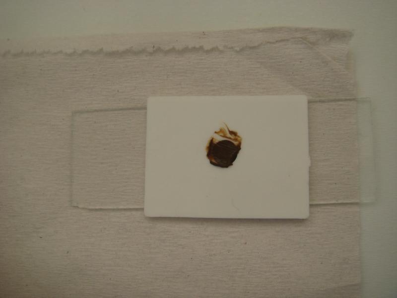 Figura 4 - cartão com cerca de 41,7 mg de fezes. Segundo Chan (1997), quando o número de parasitos no hospedeiro estiver acima de sete vermes há um risco maior para agravamento dos sintomas.