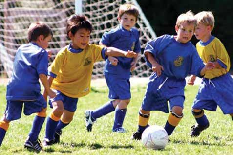 Informações Importantes Modalidade Esportiva Futebol Valor do Projeto Local de realização Quantidade de aulas por semana R$323.860,00 Complexo Esportivo-Cava do Bosque Centro Espotivo Manoel F.