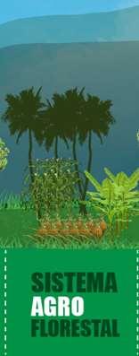 Asset: Agro Forestry