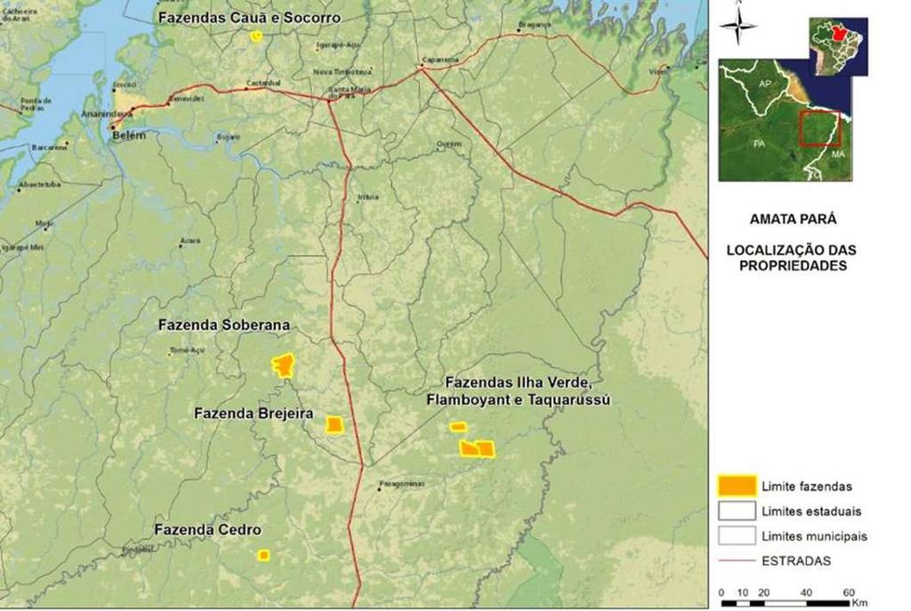 North Pará Net Area: