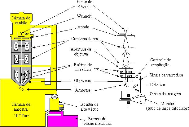 7.2.2. Microscopia Eletrônica de Varredura (MEV-SEM) Diagrama