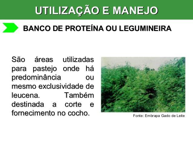 Banco de proteína