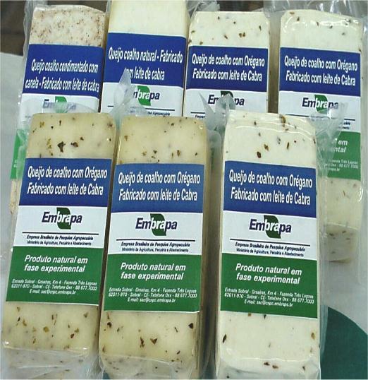 QUEIJO COALHO MATURADO E DEFUMADO Adequar um produto tradicional às exigências dos órgãos reguladores e