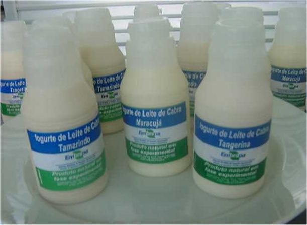 IOGURTE BATIDO ADICIONADO DE FRUTAS TROPICAIS A fabricação do iogurte natural batido ou adicionado de polpas de frutas