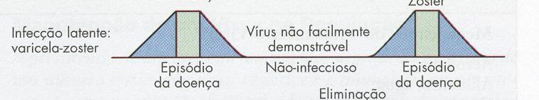 Cadeia do processo infeccioso: tipos de infecção Tipo de infecção