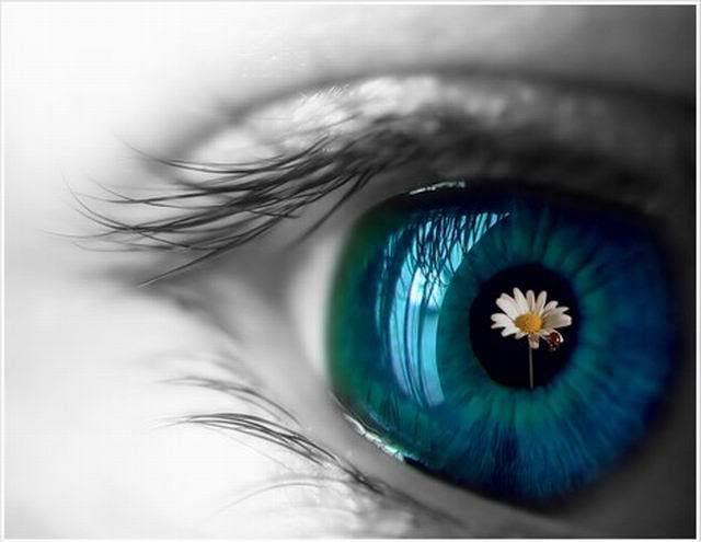 Olhar a realidade com os olhos da fé: Olhar a realidade com um olhar positivo e esperançoso de quem busca, nesta