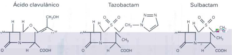 Os inibidores de β-lactamase são estruturalmente semelhantes à penicilina, retendo a ligação amida do grupo beta-lactâmico do composto ascendente, mas possuem uma cadeia lateral modificada (Fig. 2).