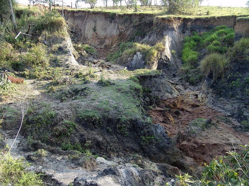 erosão, causados pela chuva, em solos onde a vegetação é escassa e