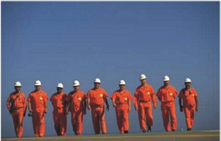 VISÃO 2015 A Petrobras será uma empresa integrada de energia com forte presença internacional e