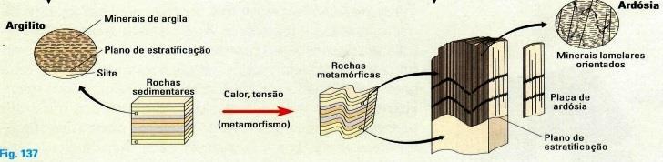 NÃO LITOSTÁTICA OBRIGA A UM ALINHAMENTO