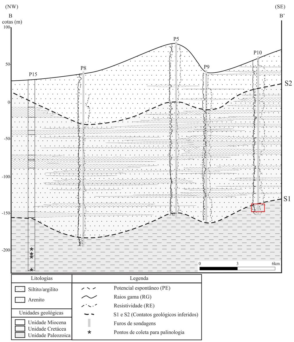 Soares, E. A. A. et al. e funil). A identificação de padrões distintos em função de profundidade serviu de critério básico na determinação dos limites estratigráficos (Figura 2C).