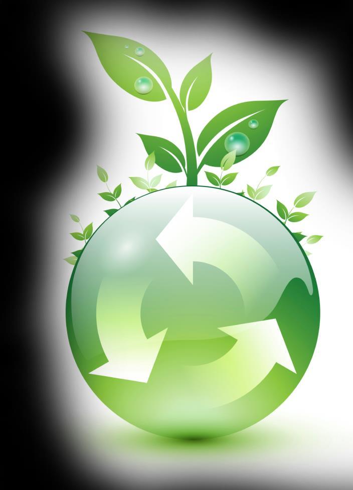 Responsabilidade ambiental Programa de Neutralização de Carbono Desde 2009,