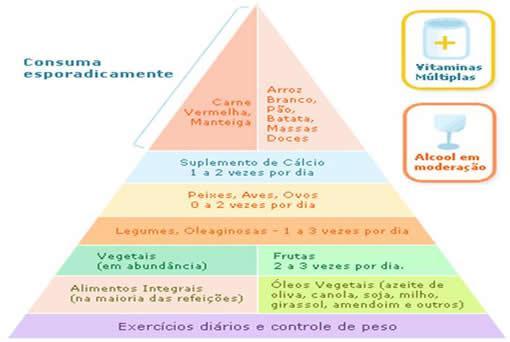 A nova Roda dos Alimentos proposta, é composta por 7 grupos de alimentos de diferentes dimensões, os quais indicam a proporção de peso com que cada um deles deve estar presente na alimentação diária.