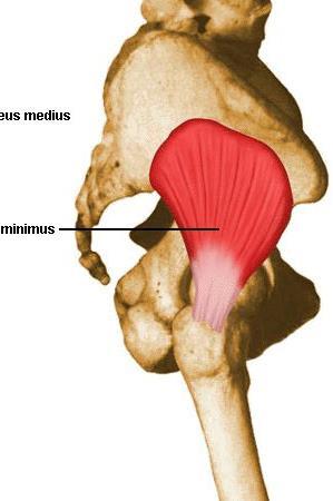 Gluteo mínimo O Fossa