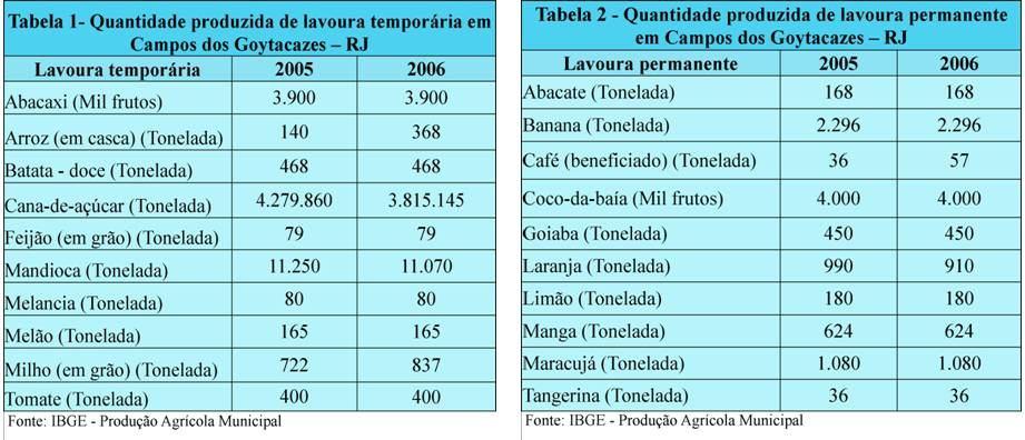 Observa-se, nas Tabelas 1 e 2, que o município de Campos dos Goytacazes vem se destacando na produção temporária de abacaxi, arroz, batata-doce, cana-de-açúcar, feijão, mandioca, melancia, melão,