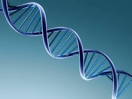 O que é um GENE? É a unidade fundamental da hereditariedade.