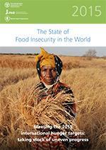 Segurança Alimentar e Nutricional, Política e Plano