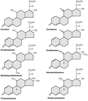 Hipófise (ACTH) Supra renal Cortisol Estruturas dos Anti-inflamatórios