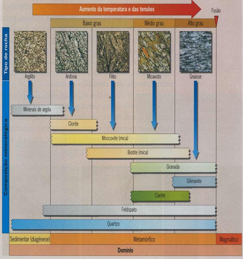 MINERALOGIA