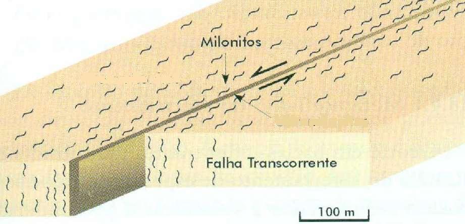 Metamorfismo