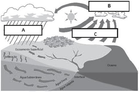 QUESTÃO 6 OBSERVE a imagem a seguir: O ciclo da água, conhecido cientificamente como ciclo hidrológico, refere-se à troca contínua de água na hidrosfera, entre a atmosfera, a água do solo, as águas