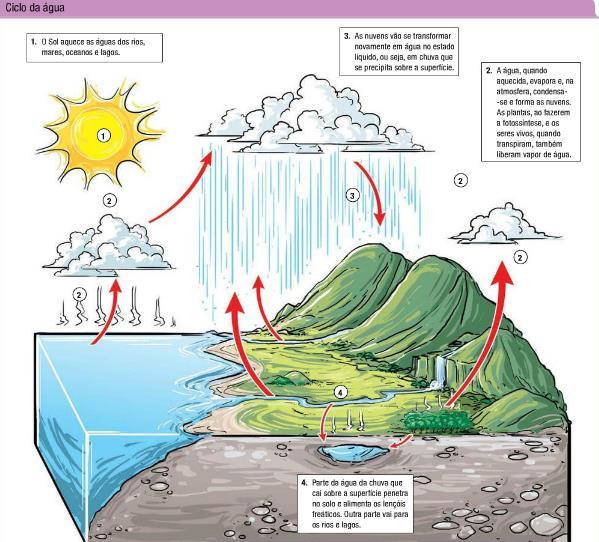 SUGESTÃO DE RESPOSTAS QUESTÃO 1 QUESTÃO 2 Climograma 1 Equatorial; chuvas abundantes, bem