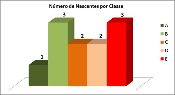 Tipo de área de inserção 3 3 2 3 3 3 3 3 3 3 2 81,82 TOTAL: 20 29 33 19 17 17 36 37 32 35 30 -- Classificação: E E C E E E B A C B D -- Legenda: Nascente 7 (Vinhote, 2008) [1]; Nascente 8 (Vinhote,