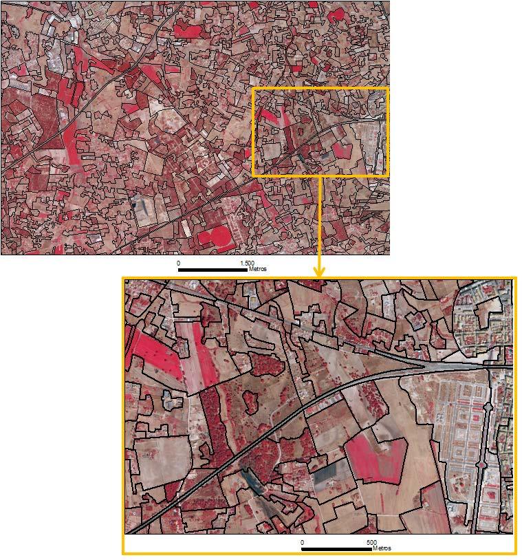 2 Especificações técnicas da Carta As COS1995, COS2007 e COS2010 são cartografias de polígonos que representam unidades de ocupação/uso do solo homogéneas (Figura 1).