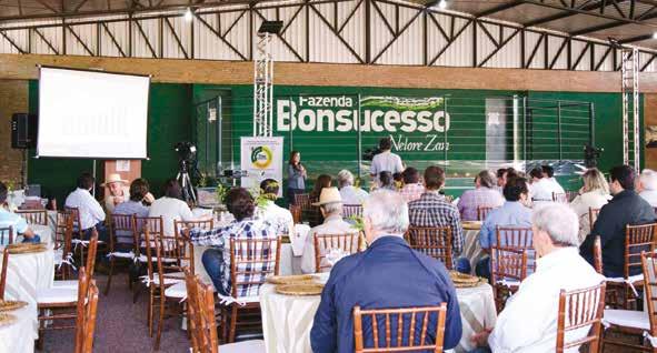 PRIMEIRA EDIÇÃO T TRIO BONSUCESSO MOVIMENTA MAIS DE R$ 2 MILHÕES Na primeira edição do Trio Bonsucesso, promovido no dia 31 de maio, a Fazenda Bonsucesso recebeu um público de 300 pessoas.