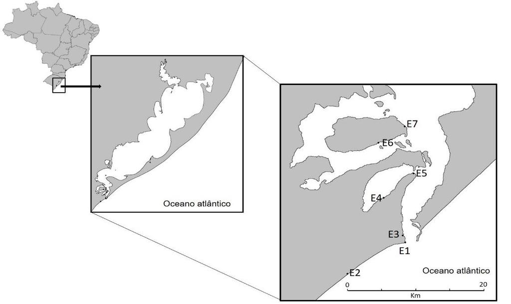 15 2.MÉTODOS 2.1 Área de estudo Á área de estudo corresponde ao ELP e ZAC, que estão localizados na planície costeira do Rio Grande do Sul.