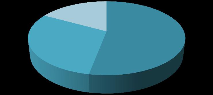 17% Grupo gestor do polo - BRASIL 53% Em funcionamento Em formação Inexistente 30% Gráfico 5: Percentual de polos segundo situação da formação do grupo gestor - BRASIL.