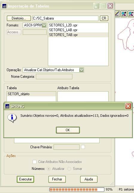 Em Diretório, selecione a pasta onde se encontra o arquivo *shp e selecione-o. Em Formato, selecione ASCII SPRING.