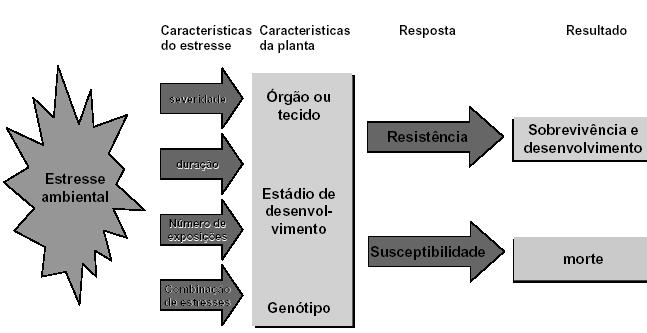 Resposta das plantas ao estresse abiótico Resposta das