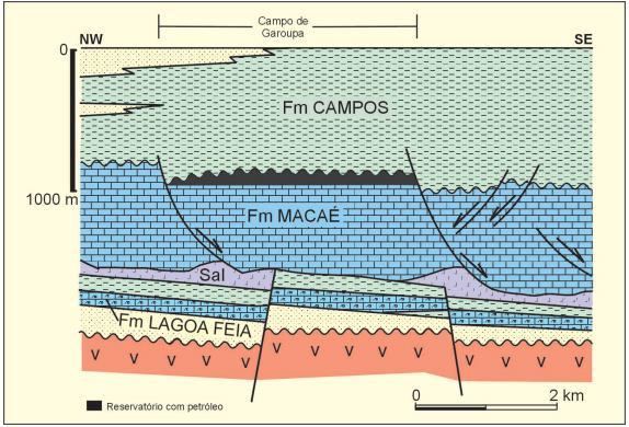 Figura 2. Seção geológica esquemática com a configuração estrutural-estratigráfica do Campo de Garoupa, Bacia de Campos.