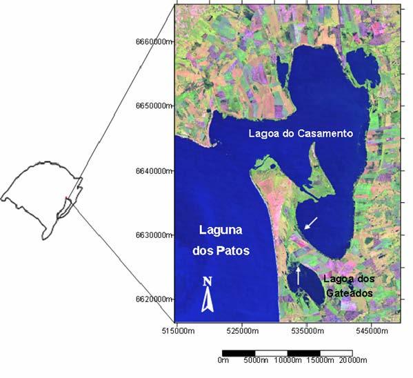 98 MILANI, P. C. C.; FONTOURA, N. F. Figura 1: Imagem do satélite LandSat TM+7 com as setas indicando o local aproximado dos dois pontos de coleta.