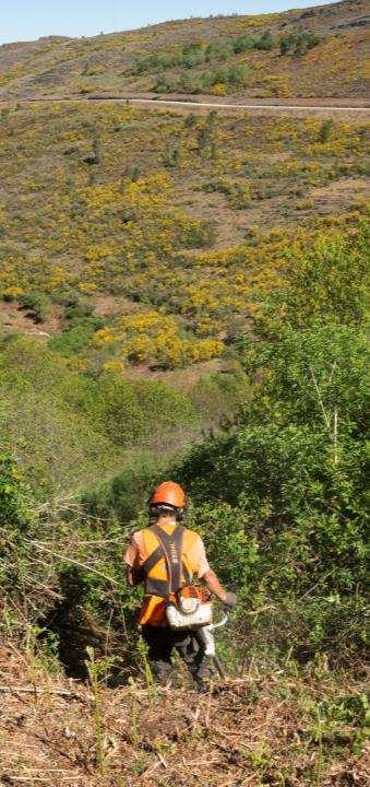 PO SEUR FINANCIAMENTO DA PROTEÇÃO ESTRUTURAL CONTRA INCÊNDIOS INTERVENÇÕES NA ÁREA DA BIODIVERSIDADE PARA A ADAPTAÇÃO ÀS ALTERAÇÕES CLIMÁTICAS PROJETO PILOTO DE RECUPERAÇÃO E CONSERVAÇÃO DE