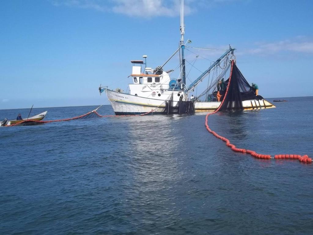 A Importância das Cotas na Gestão da Pesca: A experiência